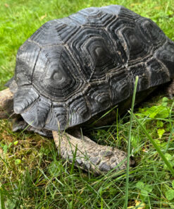 0E123F8C 77E9 4BFB AC84 2DC7E3A632F3 1024x 2 247x296