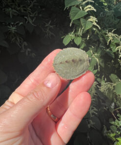 11CECC08 D6C3 4EF4 AA34 BA98ACC8CF07 1024x 247x296