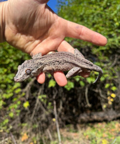 4BB643FA BCE4 45F0 A6B9 53D39EEB9B17 1024x 247x296