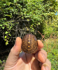 53415477 1315 45C8 B464 F98A499D3319 1024x 247x296