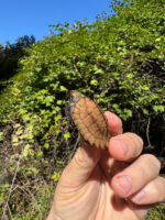 537C4765 2278 407B 8DF4 0A366472FCE7 1024x 150x200