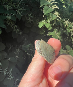 A979325F 9BD8 421B 9FC9 8F190F76FF69 1024x 247x296