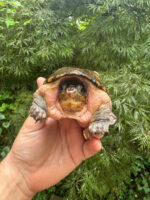 A98CDBB5 859B 44F4 ADA5 AFDFBF81CB78 1024x 150x200