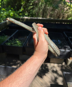 D23DB409 0EA7 4844 B353 B8A5A822A6EC 1024x 247x296