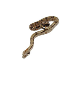 DSC 6885 1024x 247x296