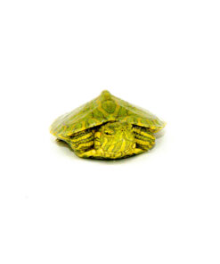 DSC 7992 1024x 247x296