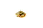 Baby Hybino Red Eared Slider Turtle (Trachemys elegans) DSC 8147 1024x 150x98