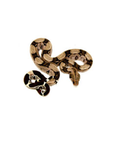 DSC 9078 1024x 247x296