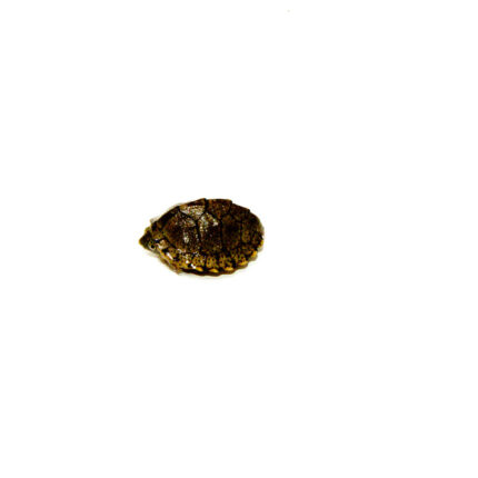 DSC 9586 1024x 430x430