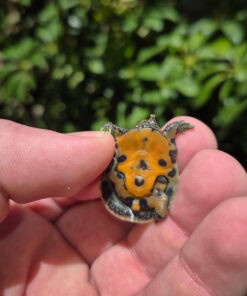 FullSizeRender 90d7e680 157f 43cf A30d F25a6f835fa1 1024x 247x296