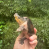 IMG 0002 1024x1024 100x100