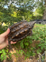 IMG 0694 1024x1024 150x200