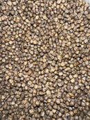 Hatchling Turtle Pellets