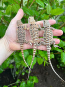 Bearded Dragon Babies (Pogona vitticeps)