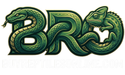 photo 2026 04 18 19 39 02