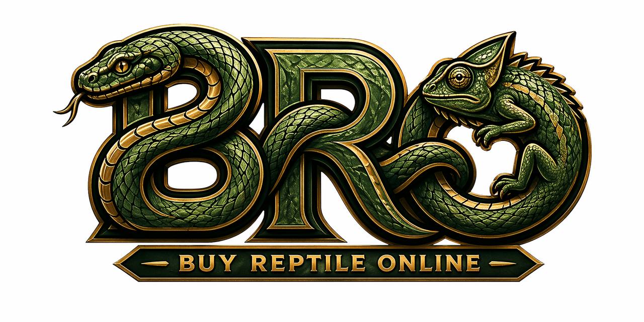 Buy Reptile Online