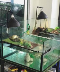 Turtle Tanks